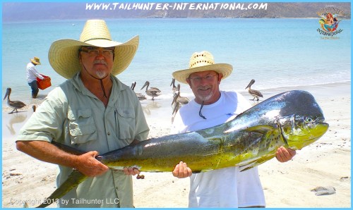 dorado allen and josh 7-13 tags