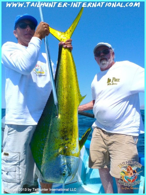 dorado mini grande jimmy csutoras tags 7-13