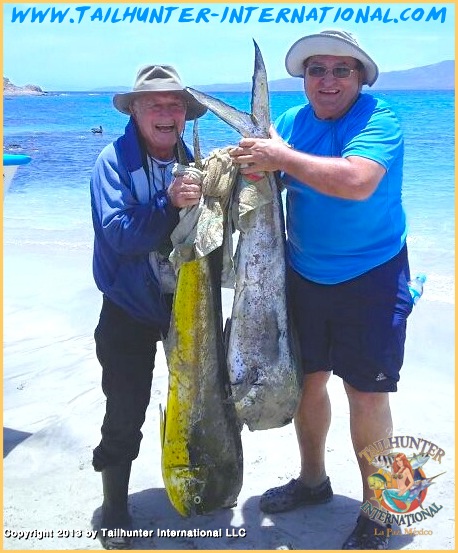 Heinke dorado 7-13 tags