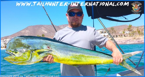 Jess dorado tags 7-13