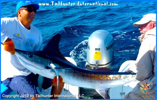 Jimmy csustoras tags marlin 7-13