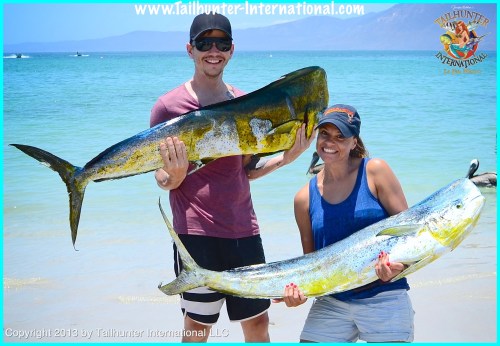 Kris Jo Biddle dorado tags 7-13