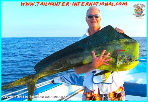 Mike Sontag dorado huge tags 7-13