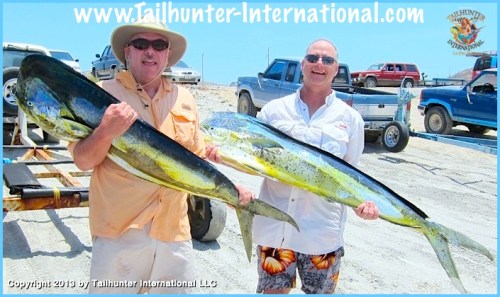 smith sontag dorado 7-13 tags