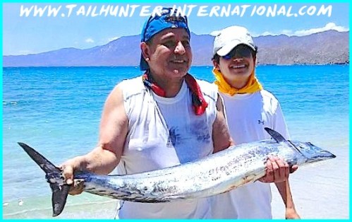 wahoo steve holquin tags 7-13