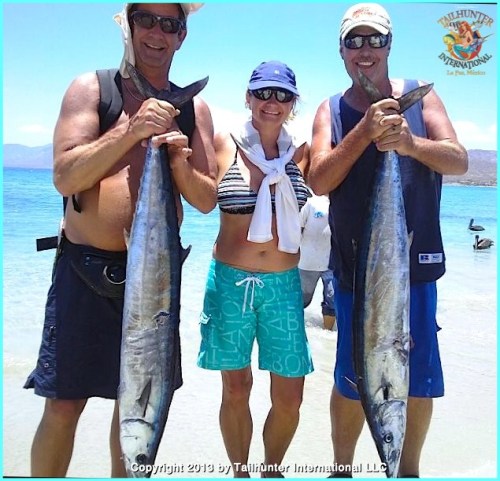 wahoo tags Pietak 7-13