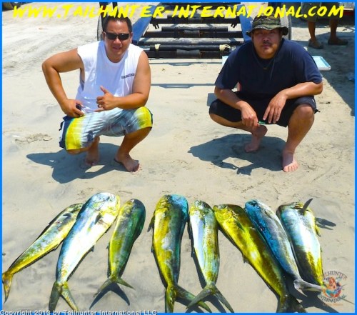 Chun Legaspi small dorado 8-13 tags