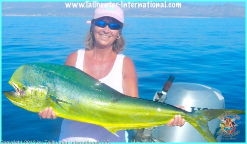 Debbie dorado 8-13 small tags