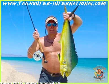 dorado bill flyrod beach  tags small 8-13-proc