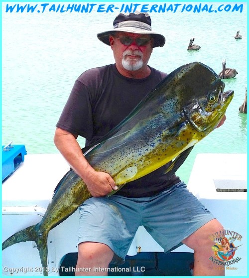 Dorado coach rea 7-13 tags