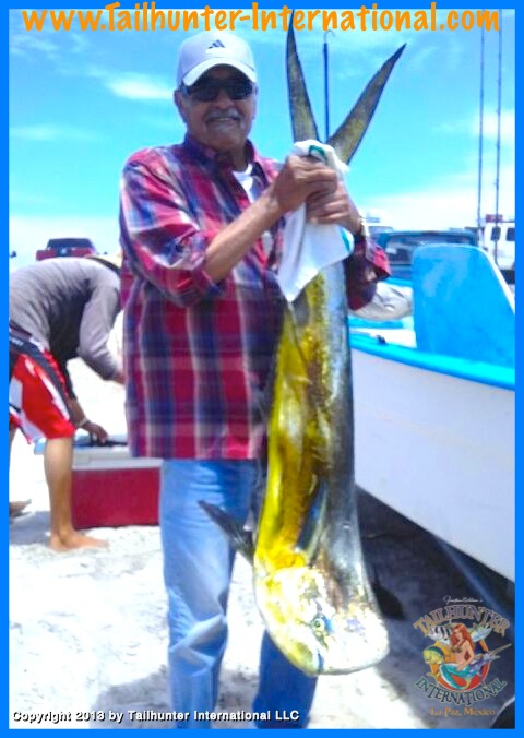 Dorado rudy tags 8-13