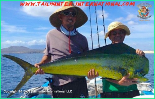 dorado sax pancho 8-13