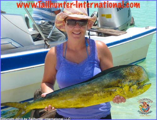 dorado shawn 8-13 small tags