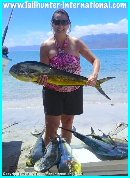 dorado teila robnett 8-13 tags