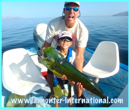 G man dorado 1 tags 8-13 two