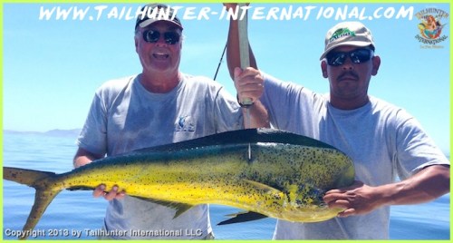 JOHN AND CHEETO small tags 8-13