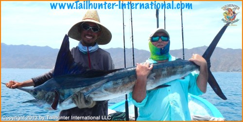 marlin don 8-13 small tags