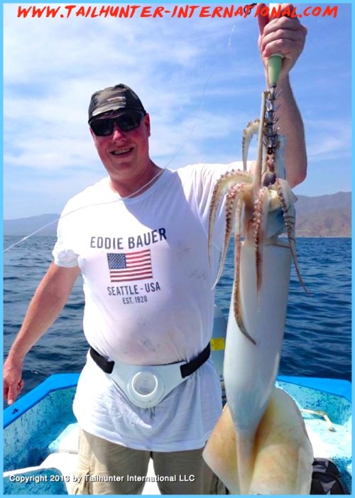 squid russ small xl tags 8-13