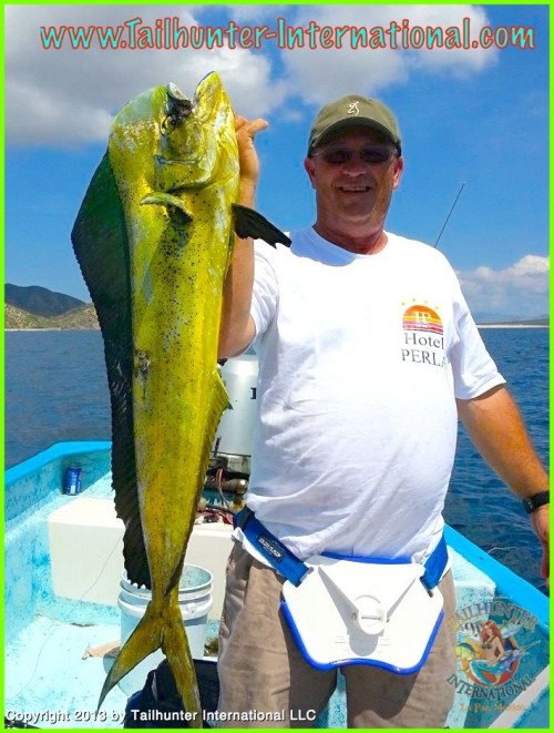 Dan Brown dorado 1 tags small