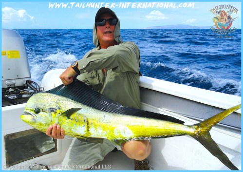 dorado big john virgin tags 9-13 small