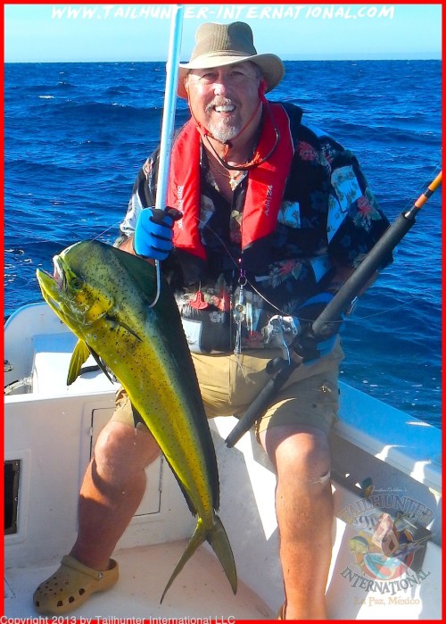 DORADO DAVE 1 gaff tags 9-13 small