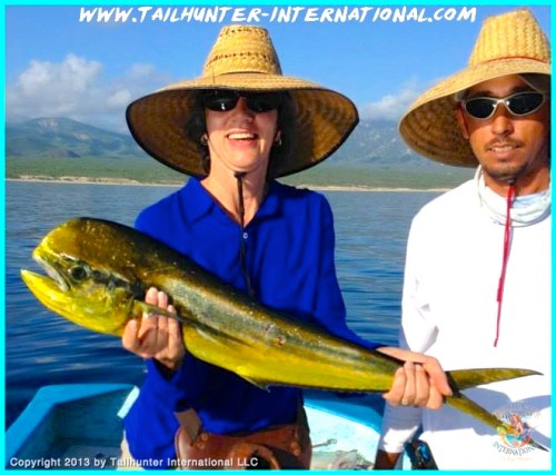 dorado leslie pilkington 9-13 tags