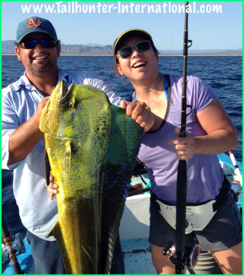 dorado Lily Chung 8-13 tags