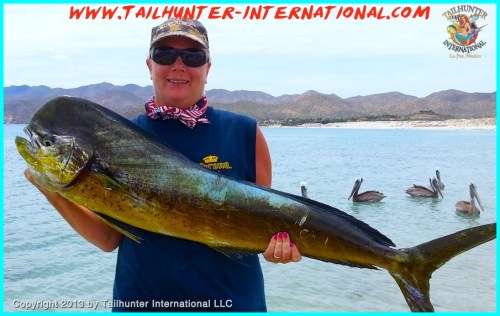 dorado mary small tags 9-13