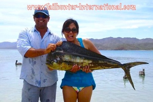 Dorado Nathalie tags small 8-13