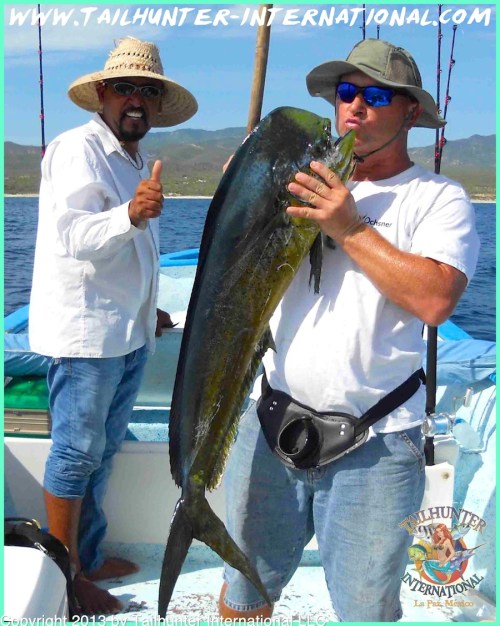 Dorado Ray Pellegrin tags 8-13 small