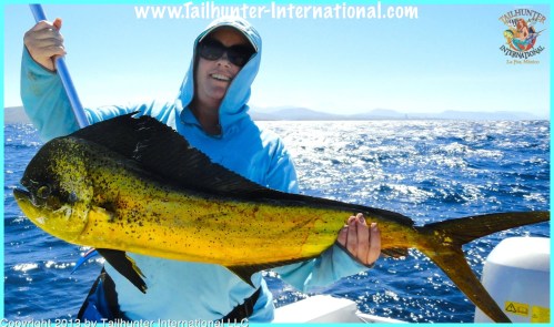 dorado sharon 9-13 small tags