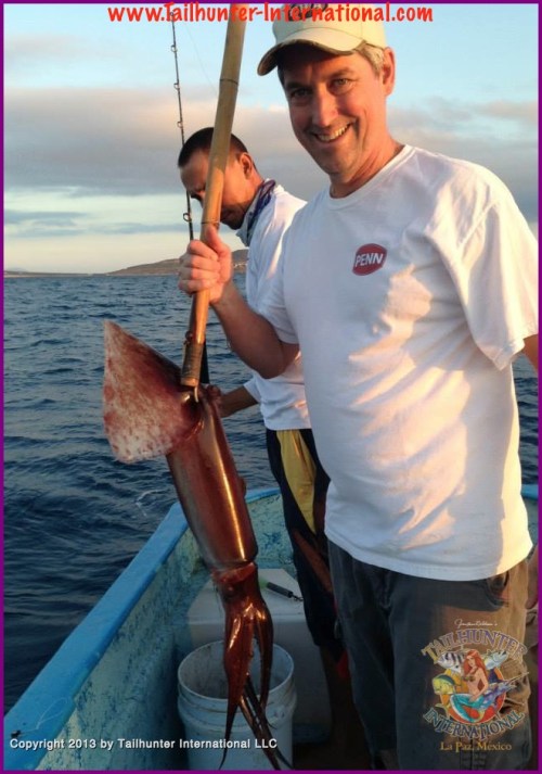 Gary Pilkington tags squid 9-13