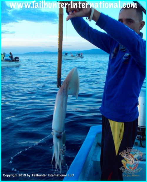 giant squid pancho tags small 9-13-proc