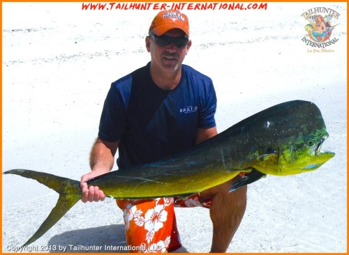 Johns Dorado Horizontal small tags 8-13