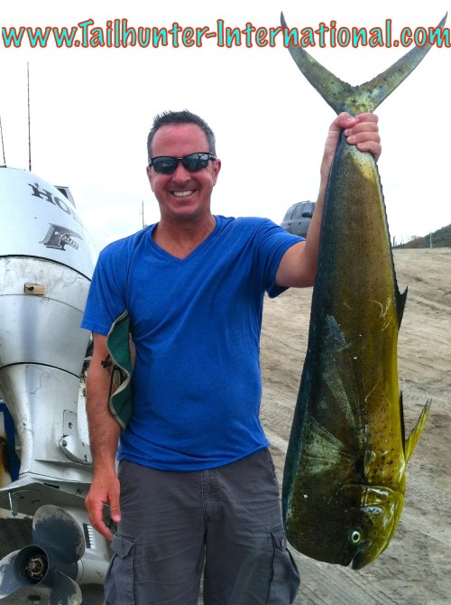 McArthur dorado 9-13 tags