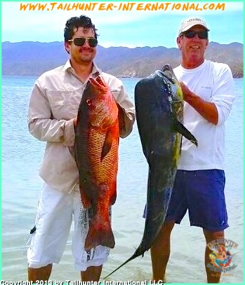 pargo dorado bovee jim dan tags 9-13