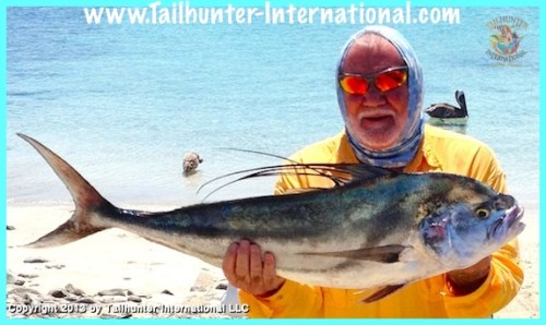roosterfish kuhn small 9-13 tags