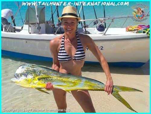 Tracy burns dorado 9-13 tags