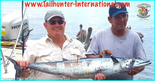 wahoo ed vander veer chito tags 9-13