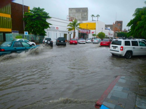 1401877_518169201607366_244507858_o