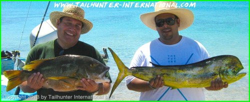 Al Basye Ehab tags dorado pargo 10-13