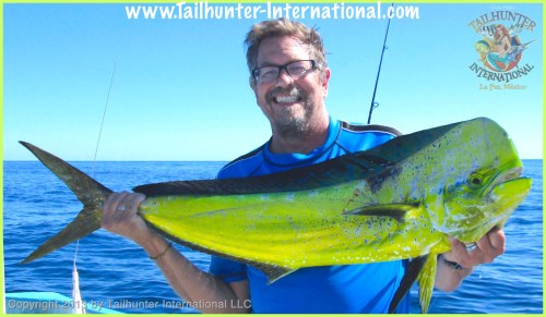 Bill Lee dorado small tags 10-13