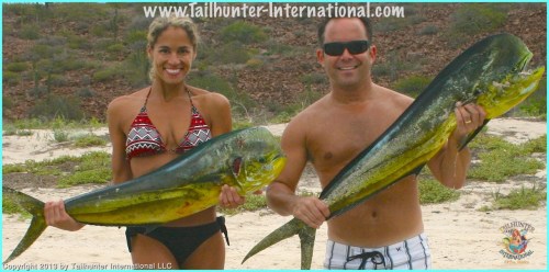 Brian benson dorado tags 10-13 small