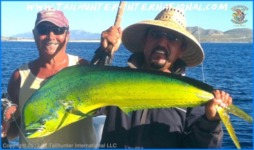 Dave conklin dorado small tags 10-13