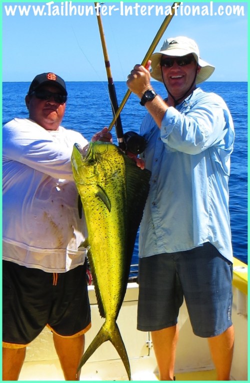 devon dorado tags 100-13