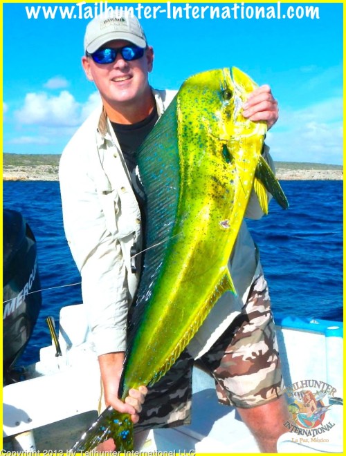 dorado james 10-13 tags
