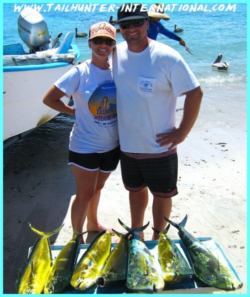 dorado jarrett 10-13 small tags