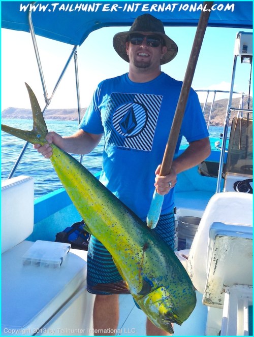 dorado Jeremy Lord tags 10-13 small