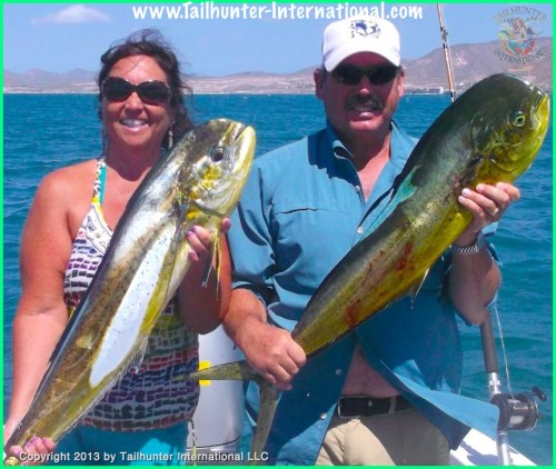 dorado tera and virgil tags 10-13 small