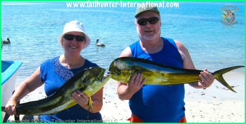 Dorothy and Terry Humphrey dorado tags small 10-13